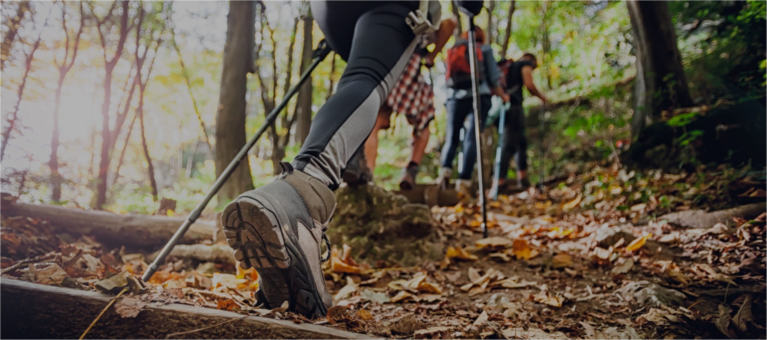 Trekking